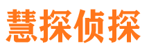 洛宁市调查公司